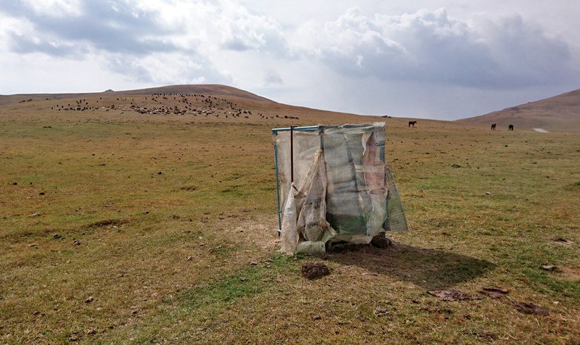 Kyrgyzstan toilet